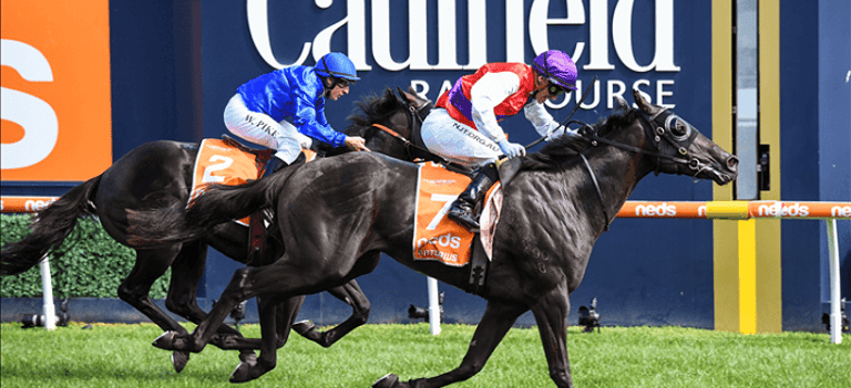Group 1 Blue Diamond Stakes: Pro punter preview and value play ...