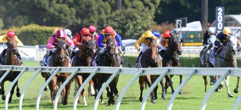 Race Replays: The Six Things To Watch For - Champion Bets