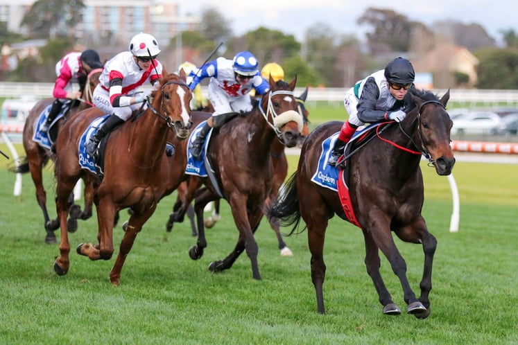 Reviewing The Autumn Carnival So Far - Champion Bets